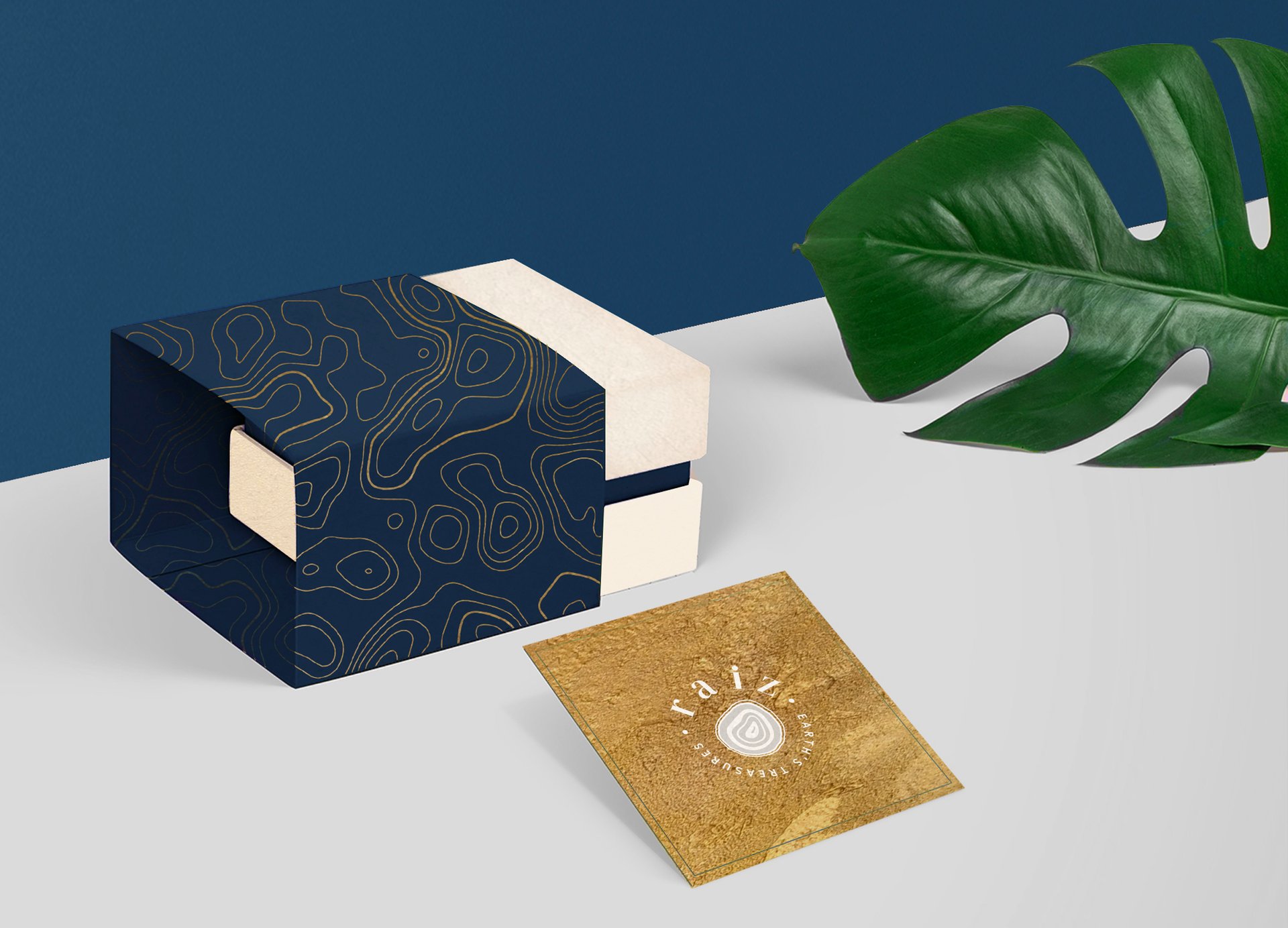 Raiz, Earth's Treasures