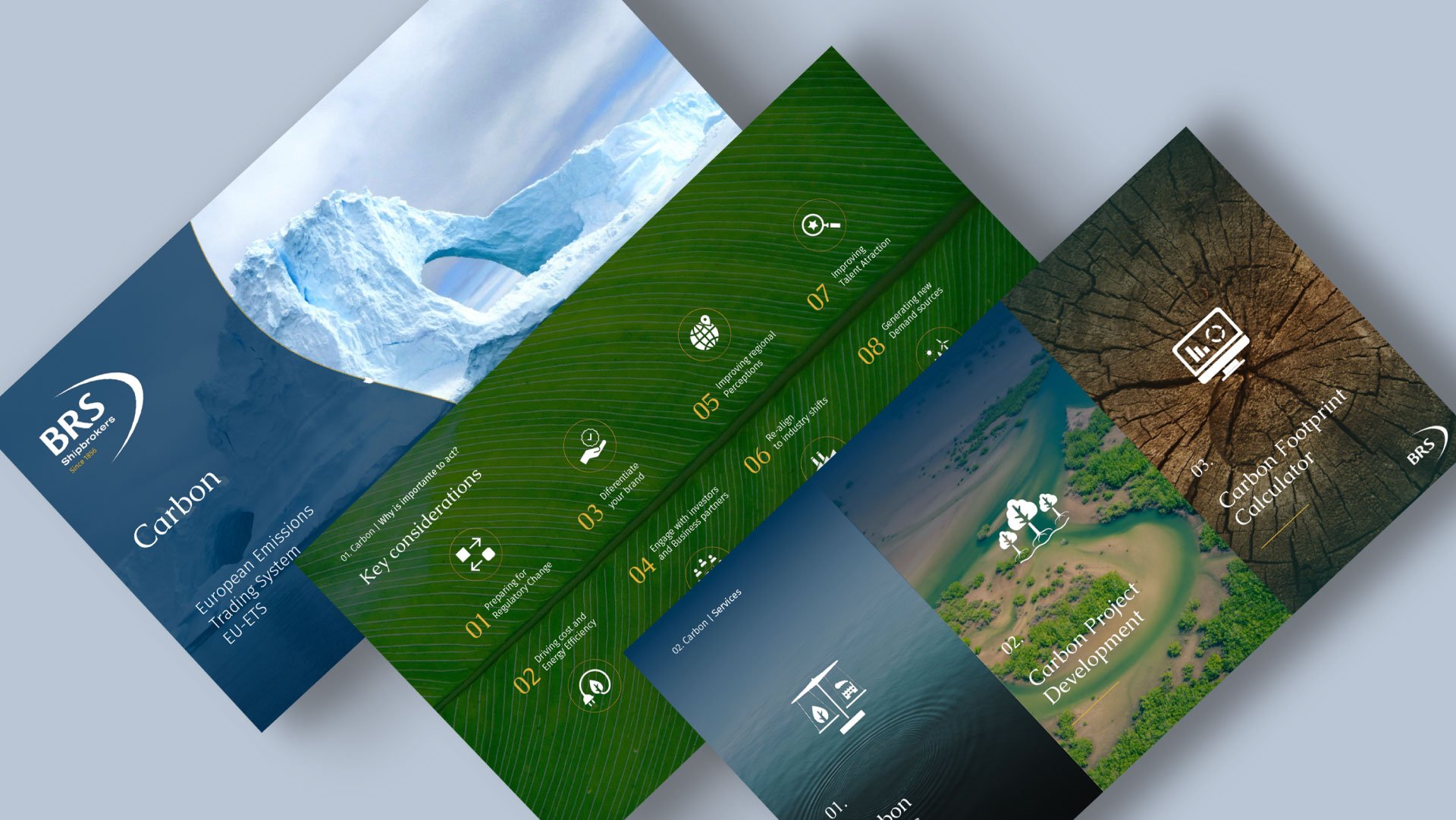 BRS Shipbrokers Rebranding e Website