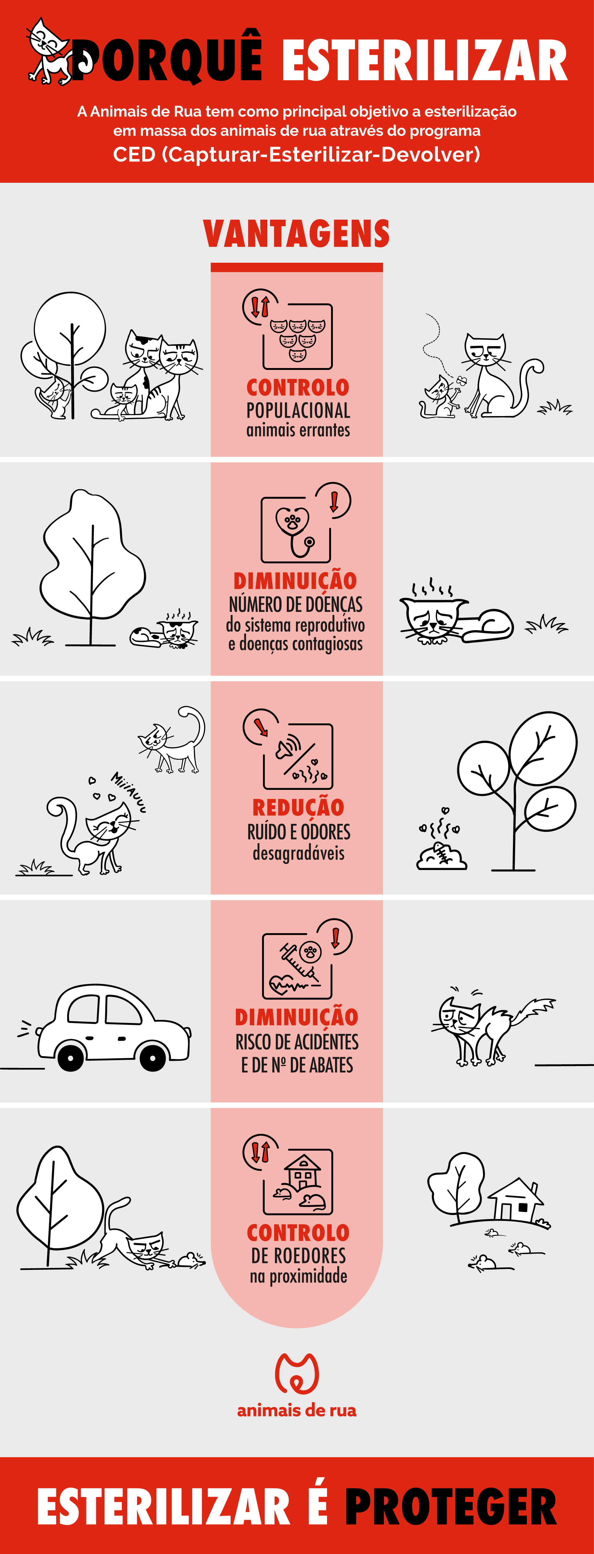 Infografias | Animais de Rua