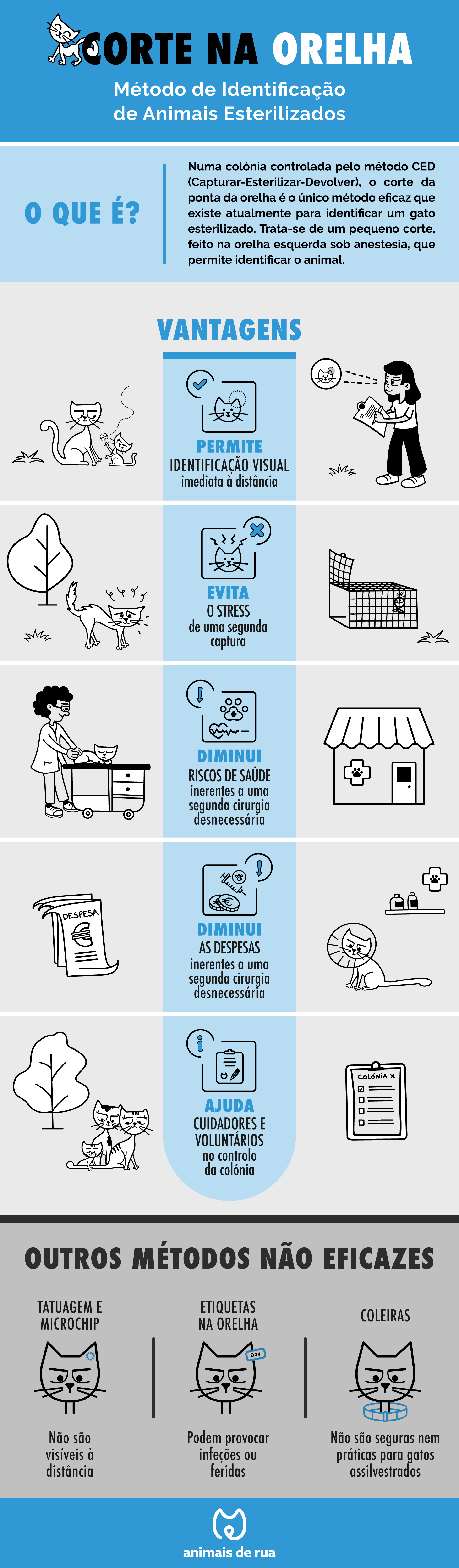 Infografias | Animais de Rua