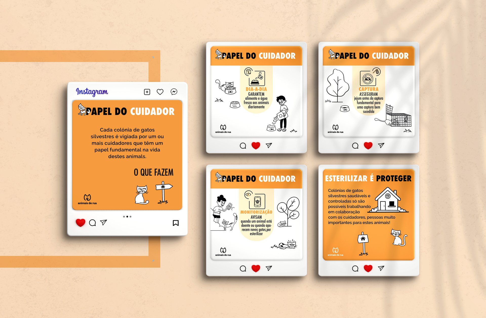 Infografias | Animais de Rua