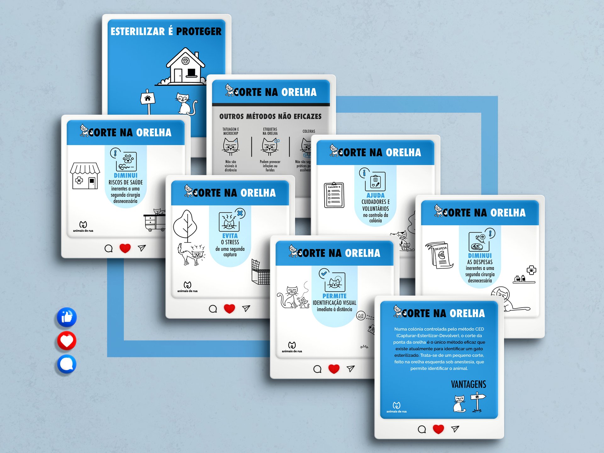 Infografias | Animais de Rua