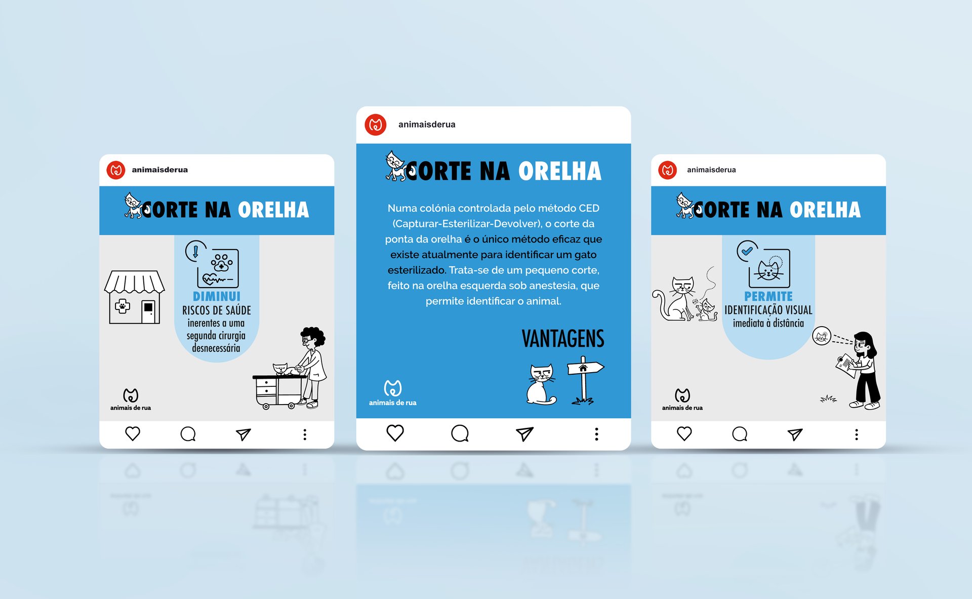 Infografias | Animais de Rua