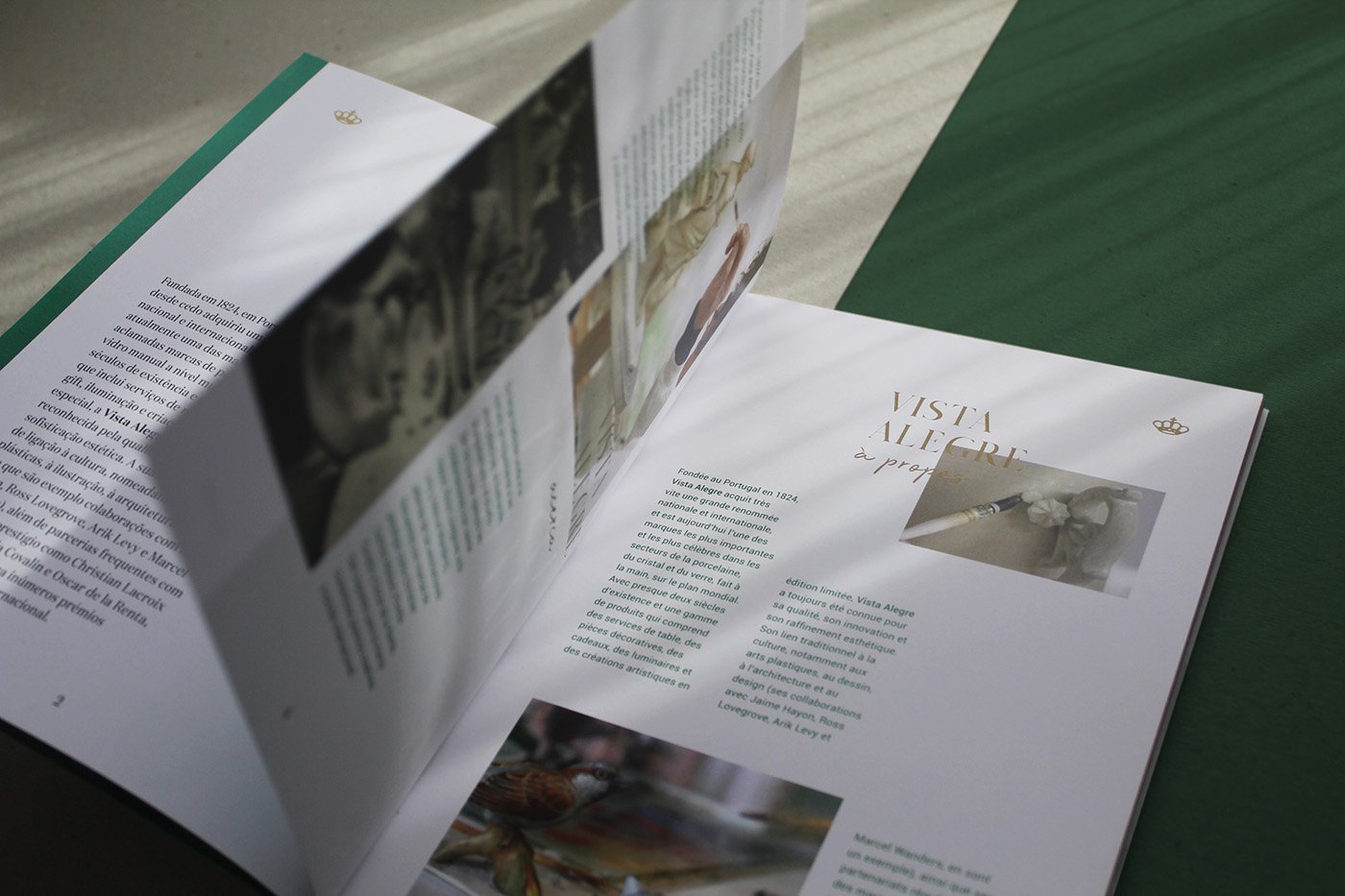 Brochura Amazónia Ecoarts