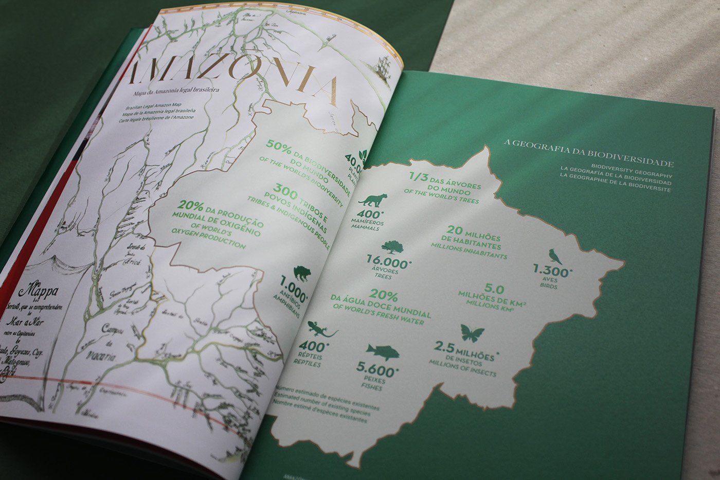 Brochura Amazónia Ecoarts