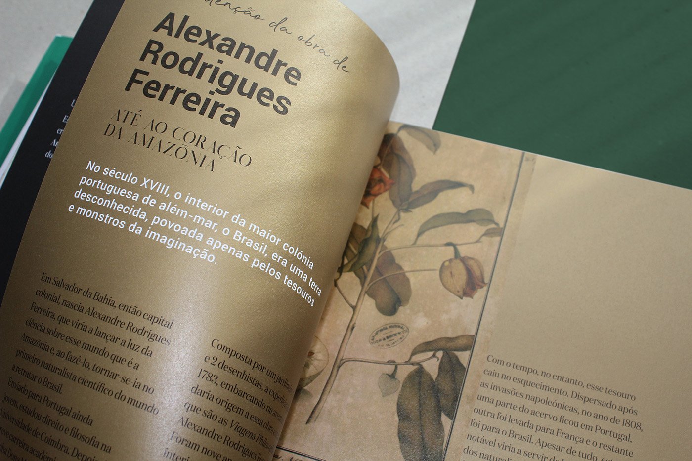 Brochura Amazónia Ecoarts