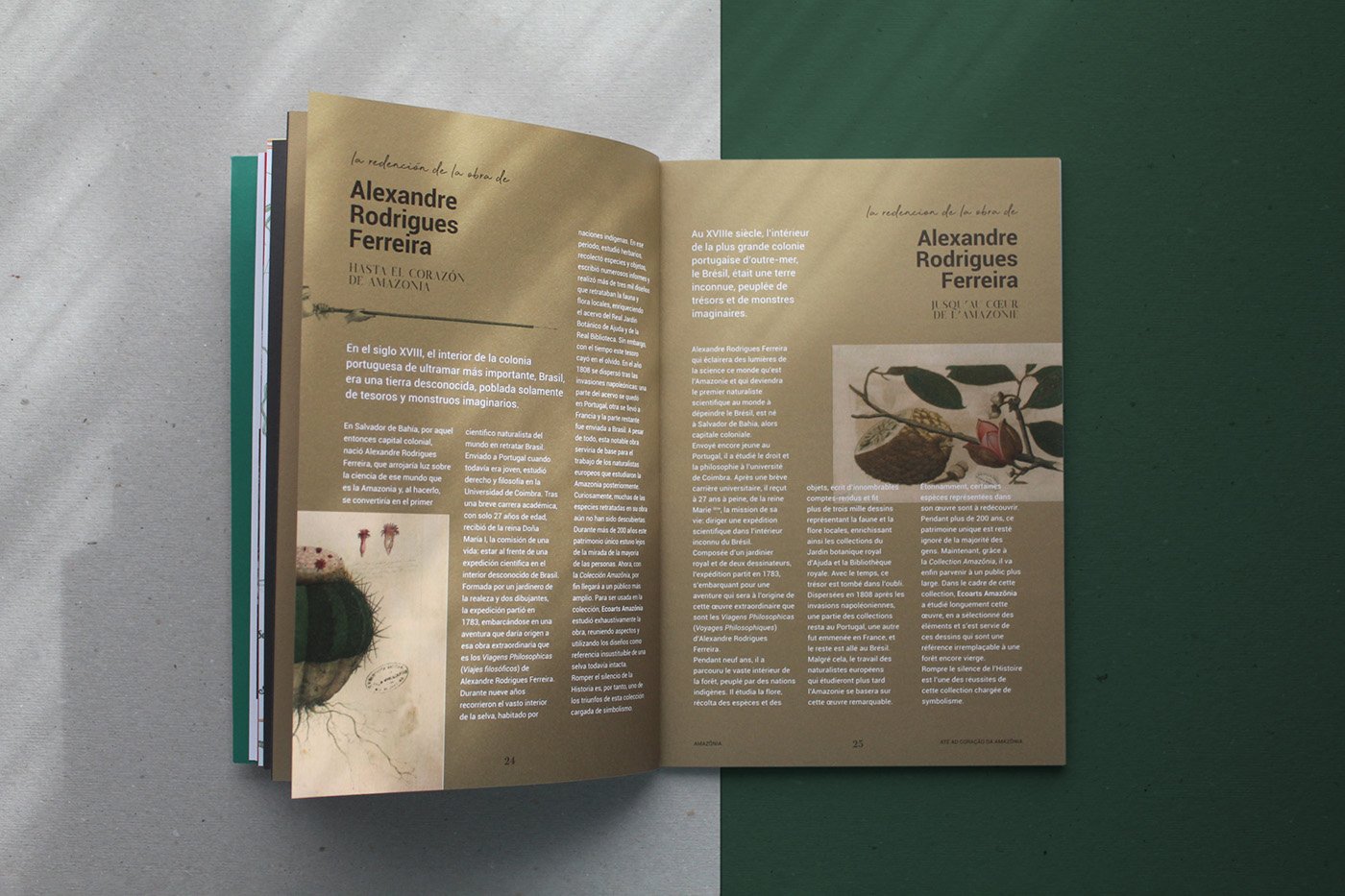 Brochura Amazónia Ecoarts