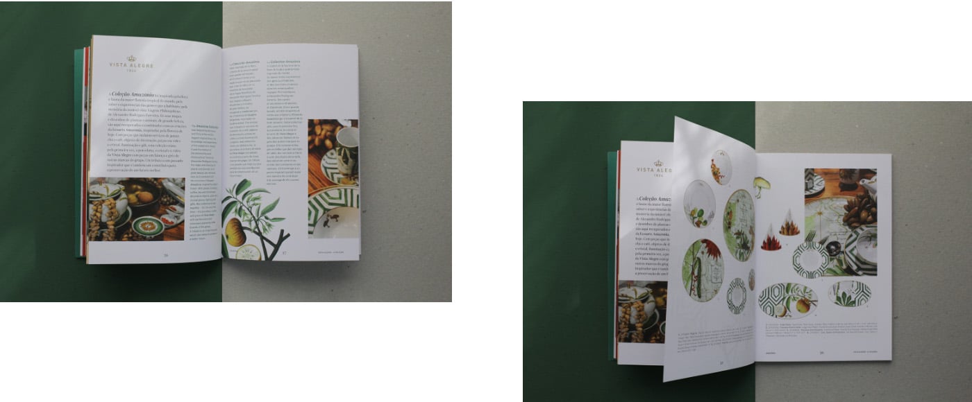 Brochura Amazónia Ecoarts