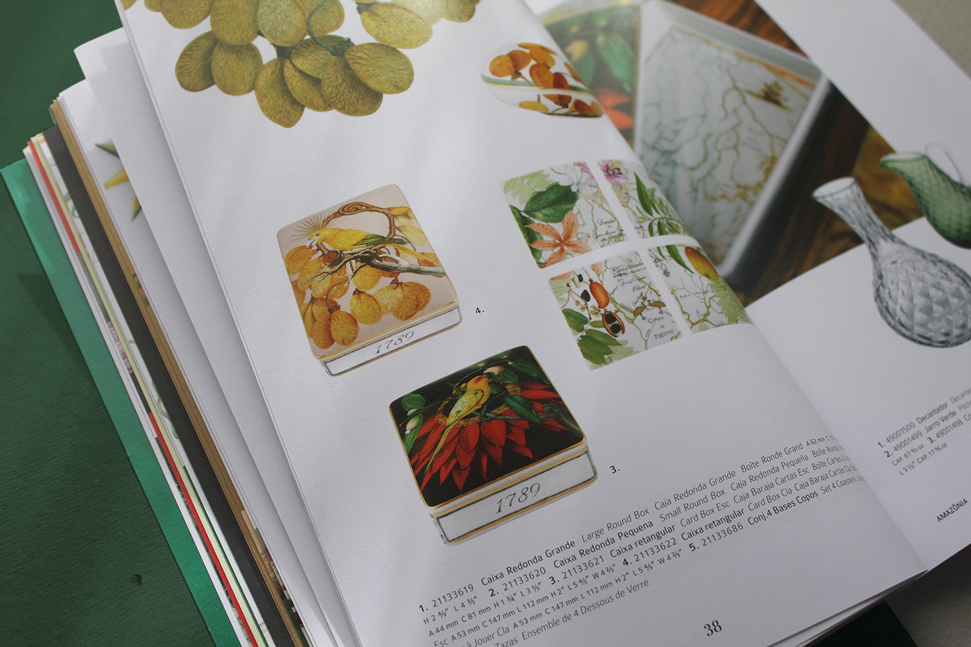 Brochura Amazónia Ecoarts