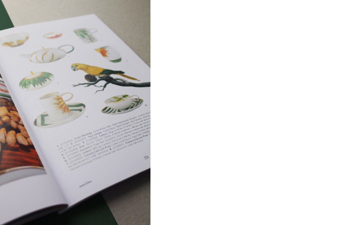 Brochura Amazónia Ecoarts