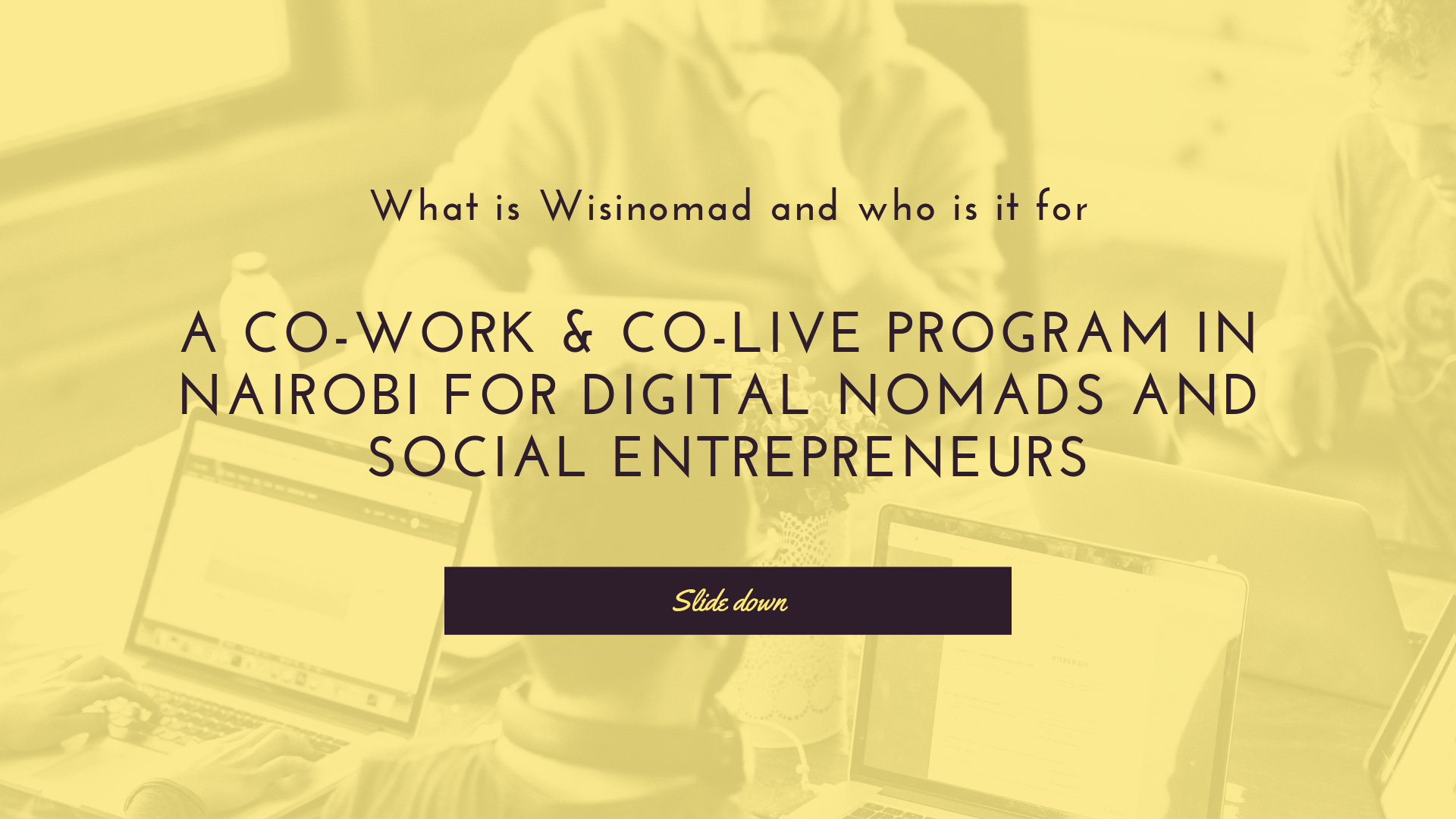 Wisinomad - Digital Strategy & Design