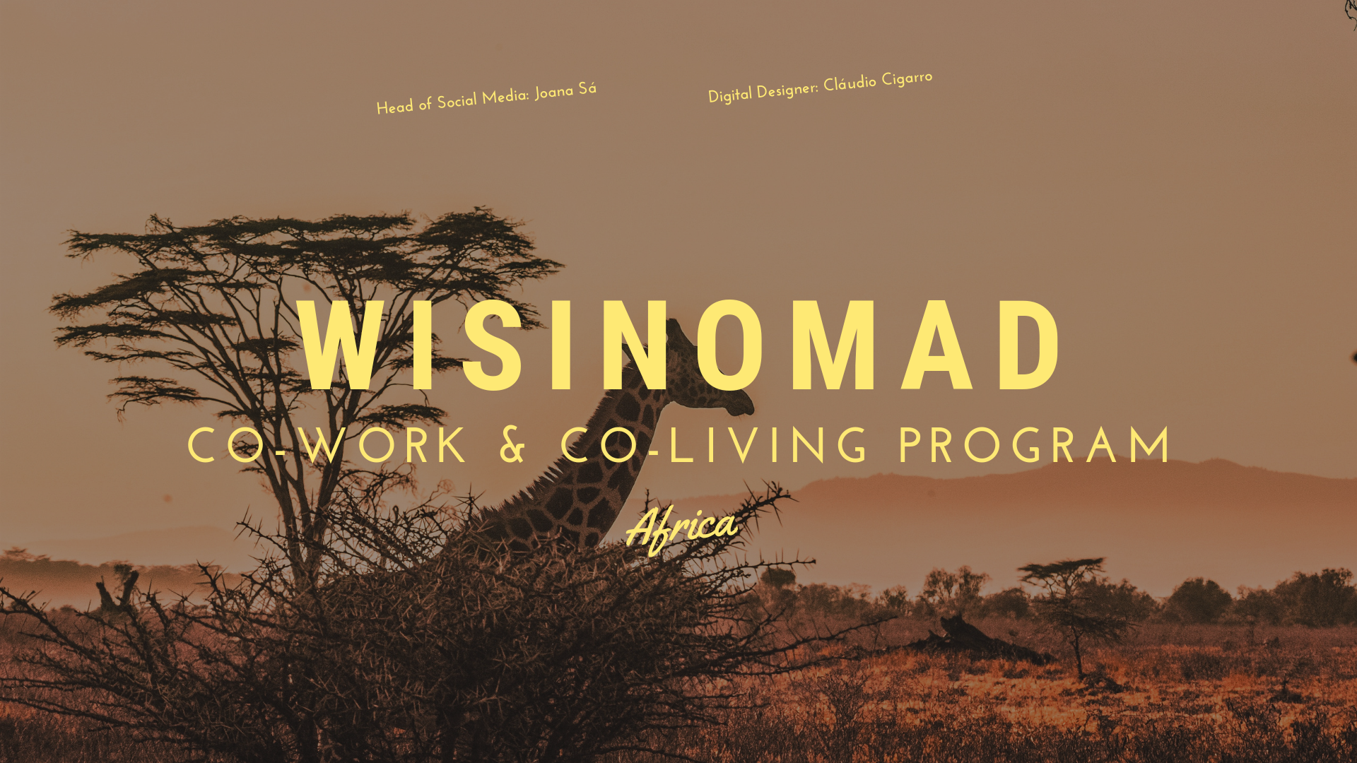 Wisinomad - Digital Strategy & Design