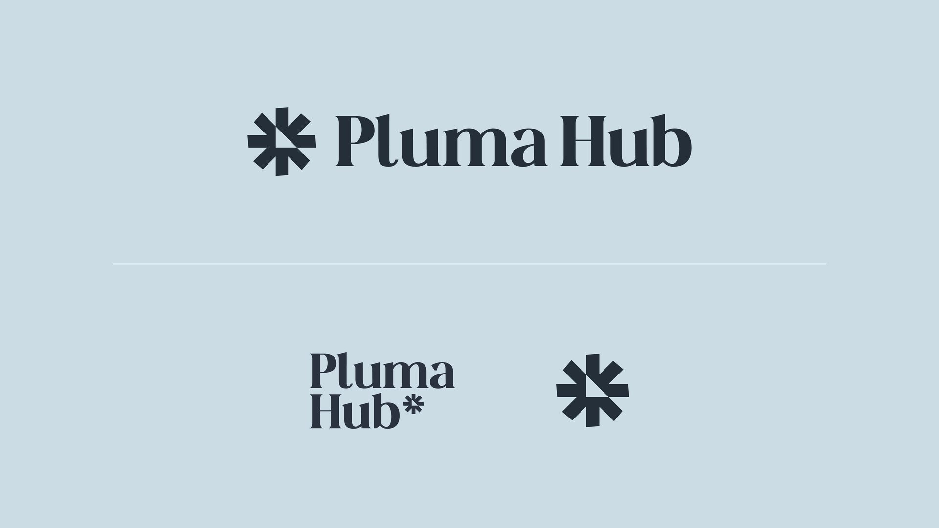 Pluma Hub