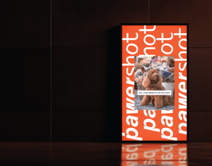 Projeto Pet Photography Studio rebranding