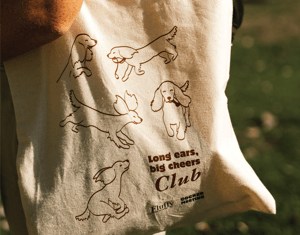 Projeto Cocker Meeting - 2ª edição