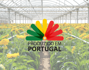 Projeto Produto Nacional | Logótipo