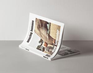 Projeto AMAZING HUMANS • Magazine