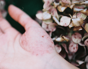 Projeto to find beauty in growth