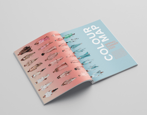 Projeto Style icons - Coveted Magazine