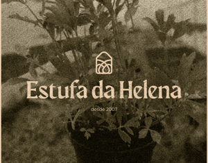 Projeto Estufa da Helena- Visual Identity