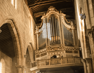 Projeto Música Mágica -  concerto para orgão ibérico