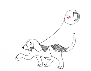 Projeto Life of a Beagle