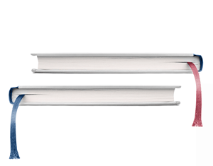 Projeto Annual reports