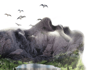 Projeto Live Planet — key visual