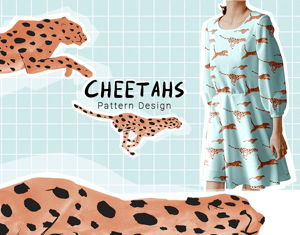 Projeto Pattern Design Cheetahs