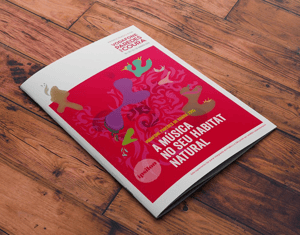 Projeto Vodafone Paredes de Coura Booklet