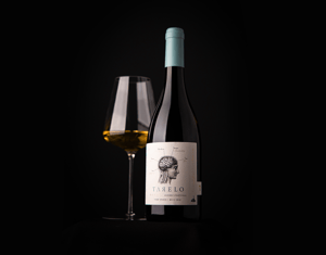 Projeto TARELO - ARINTO DOS AÇORES