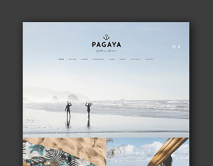 Projeto Pagaya | website
