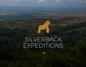 Projeto Silverback Expeditions