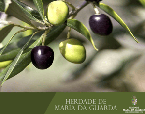 Projeto Herdade Maria da Guarda. Locução