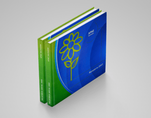 Projeto APAE Social Report