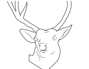 Projeto Logo Design & Branding / Design Gráfico