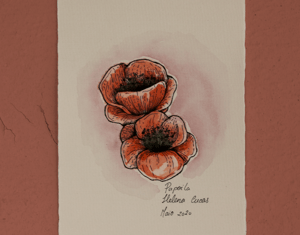 Projeto Flores aguarelas