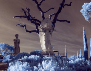 Projeto Going Infra-Red