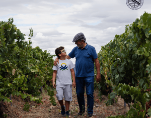 Projeto HARVEST 2021