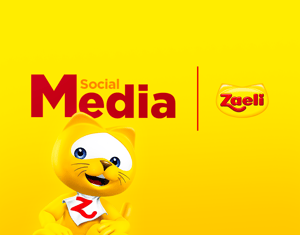 Projeto Social Media - Alimentos Zaeli