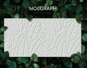 Projeto Molgraph Studio