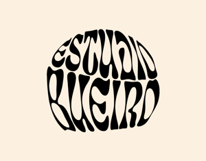 Projeto estudio bueiro branding