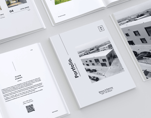 Projeto Nelson & Patrício_portfólio