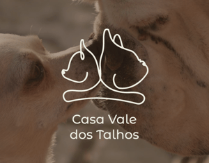 Projeto Casa Vale dos Talhos - Branding & Social Media