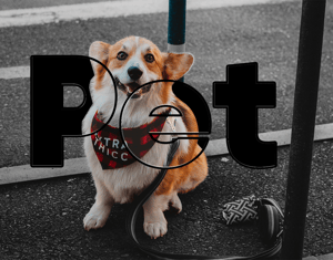 Projeto Criação de banners para um loja online (coleções)