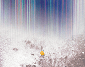 Projeto Album Covers - exploratory exercise