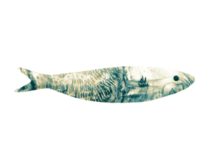 Projeto Sardinha Navegante