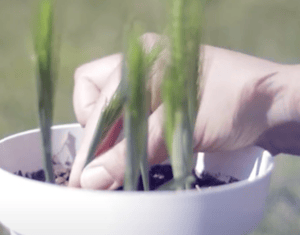 Projeto Alterações climáticas