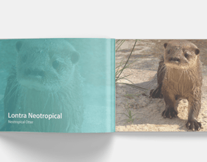 Projeto Livro "Mamíferos Aquáticos da Amazônia"