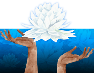 Projeto Coleção Amazônia: A Lenda da Vitória Régia